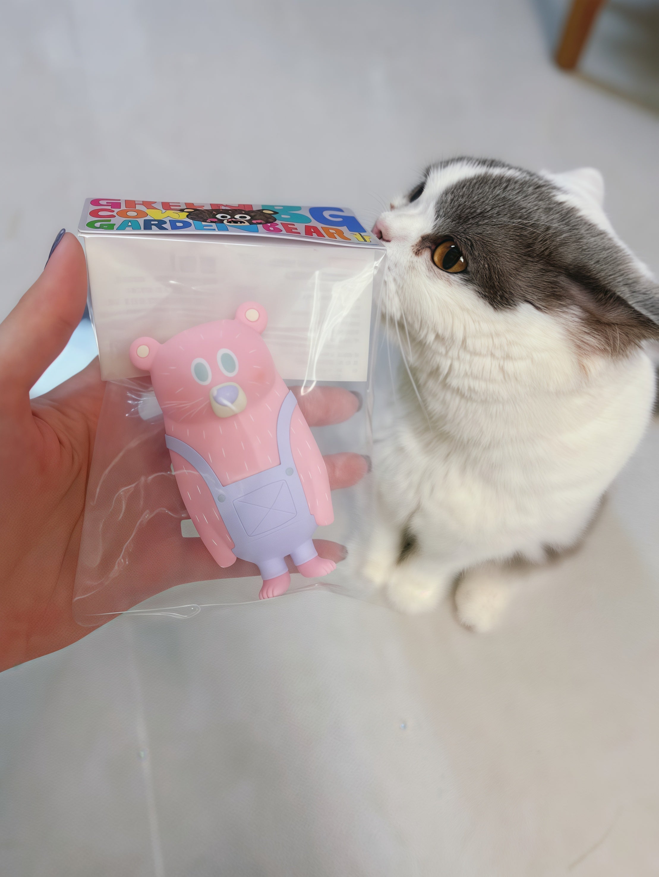 BG BEAR-MACAROON HANG BAG LIMITED
