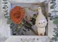 SOOYA-FOOLISH EMO-WORLWILD LIMITED 208 PICES