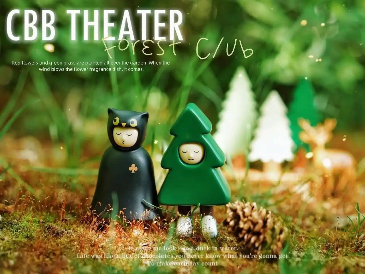 CBB - THE FOREST CLUB SERIES
