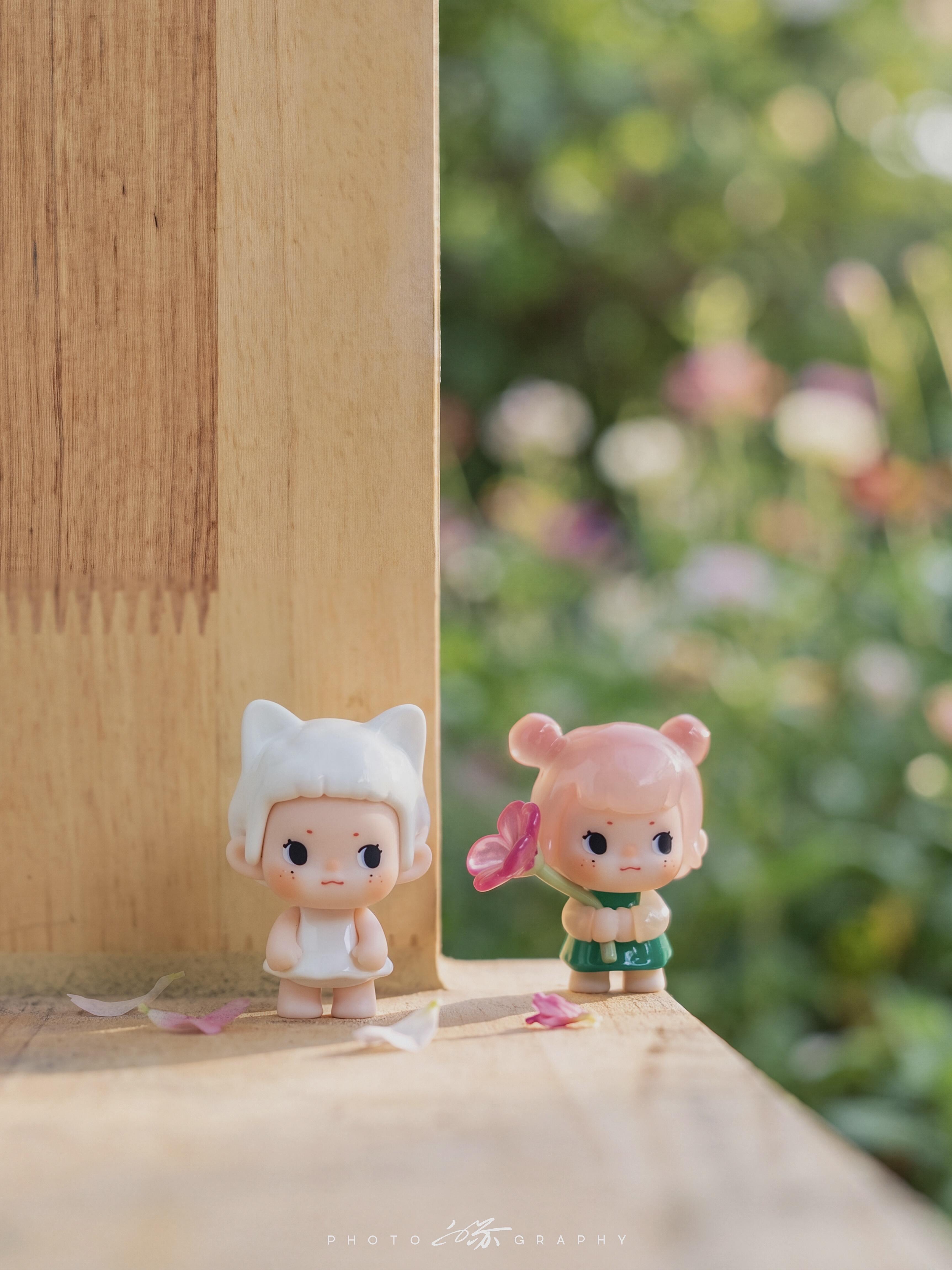 Song Song -Song Song's Adventure Bean Series