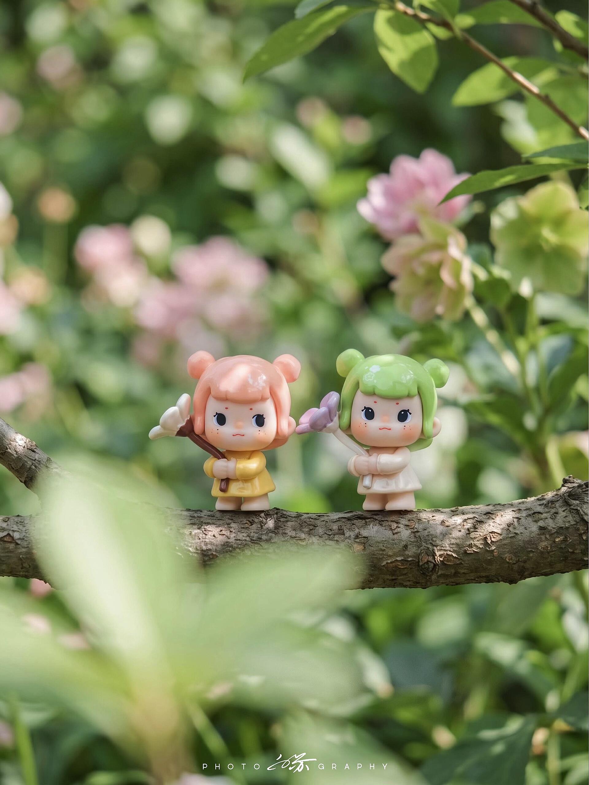 Song Song -Song Song's Adventure Bean Series
