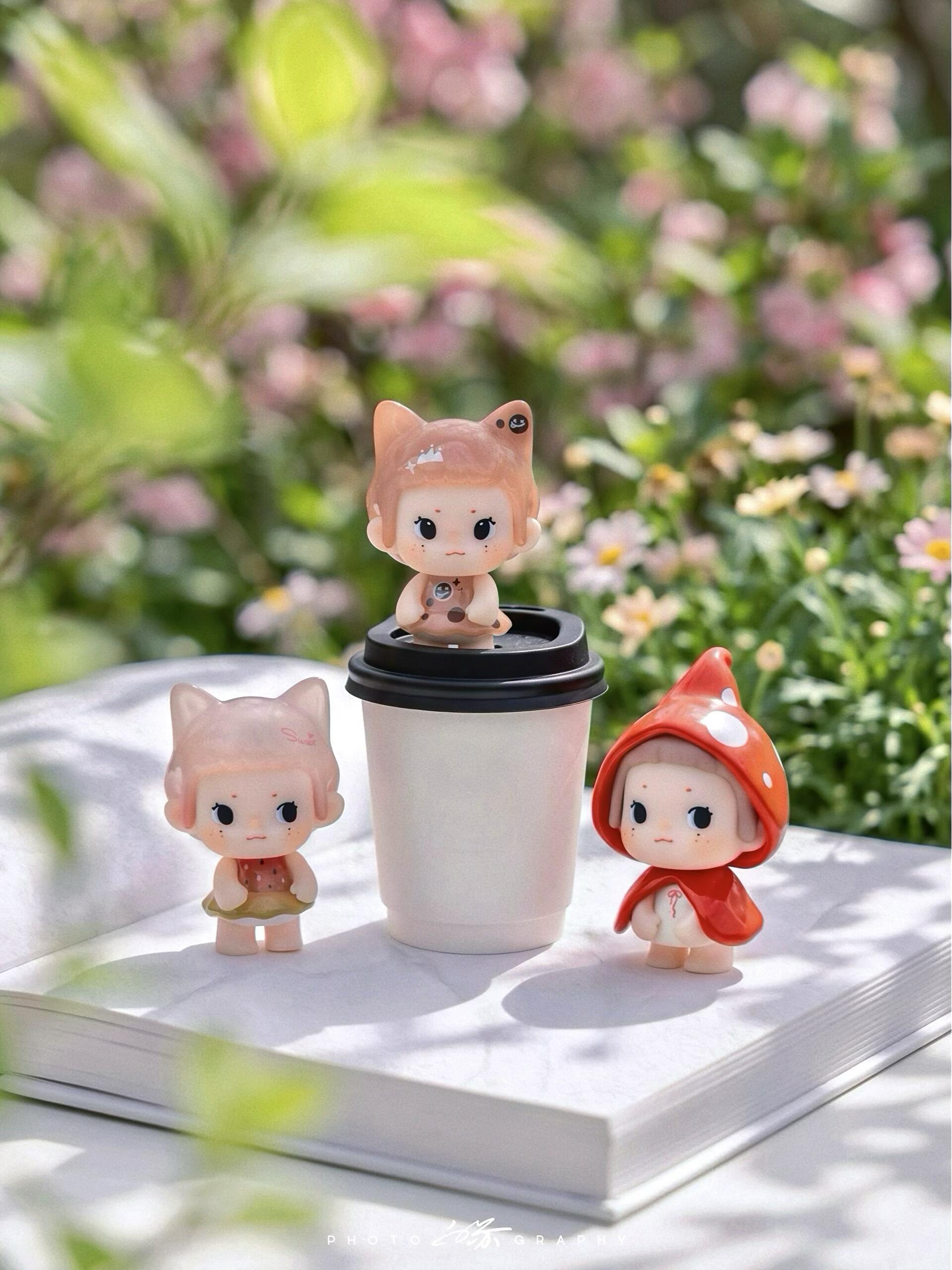 Song Song -Song Song's Adventure Bean Series